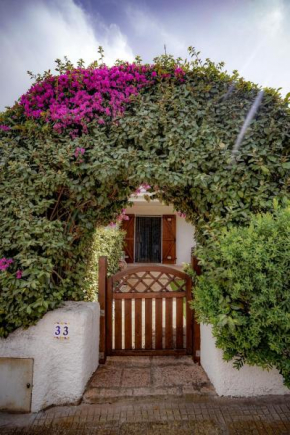 Paola House Via Romagna